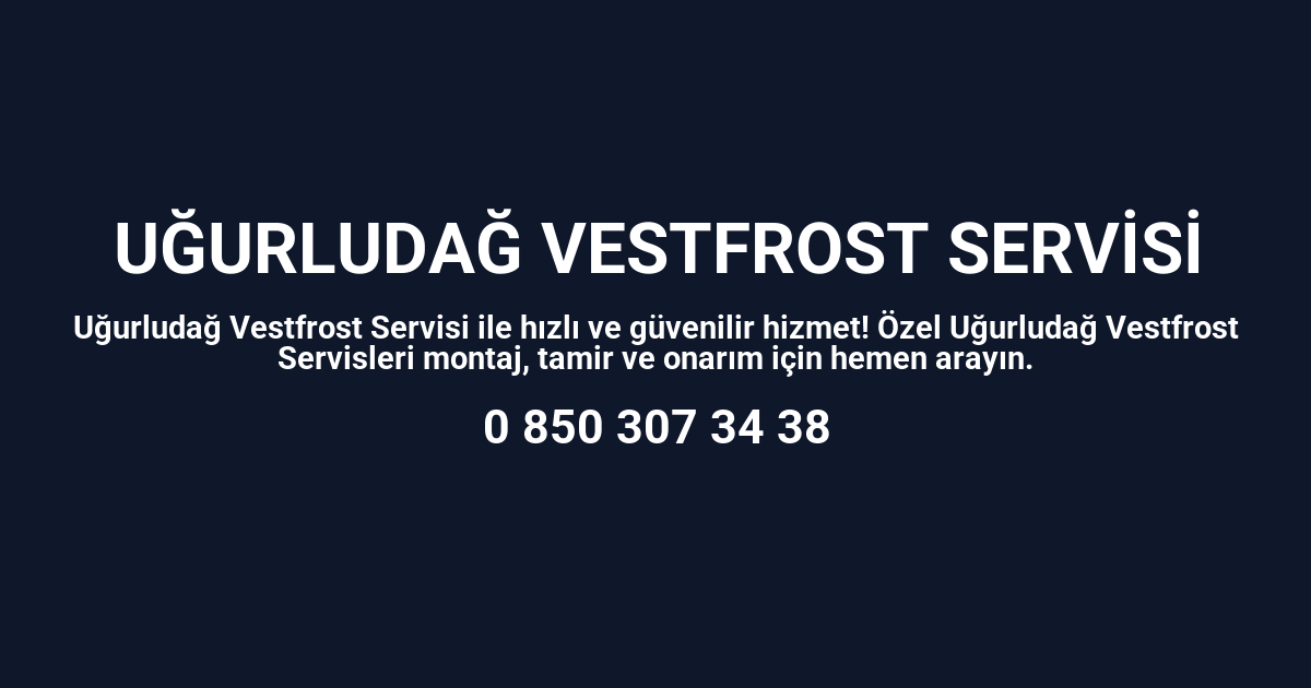 Uğurludağ Vestfrost Servisi
